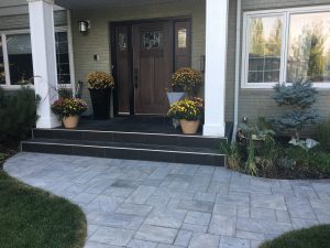 Paving stone walkway