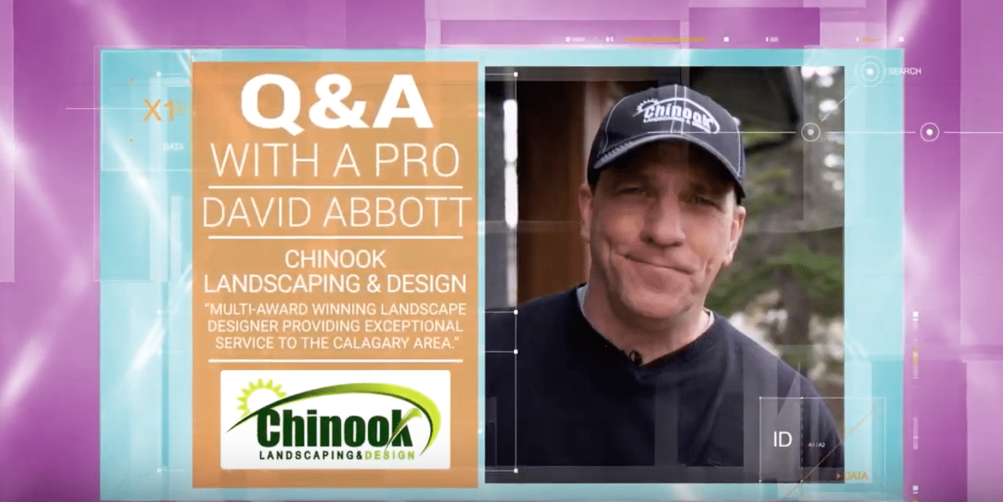 Chinook Landscaping and Design on The Marc and Mandy Show | Chinook ...